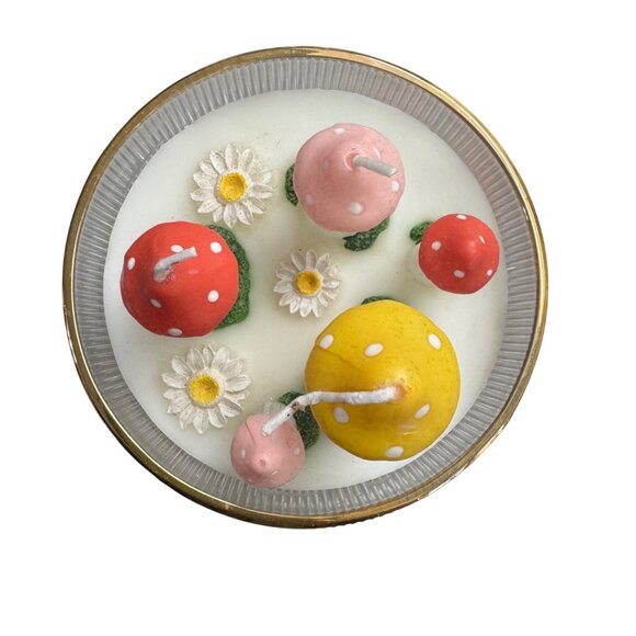 Gardener Variety Multicolor Mushroom Candle Glass Jar - Picture 5 of 11